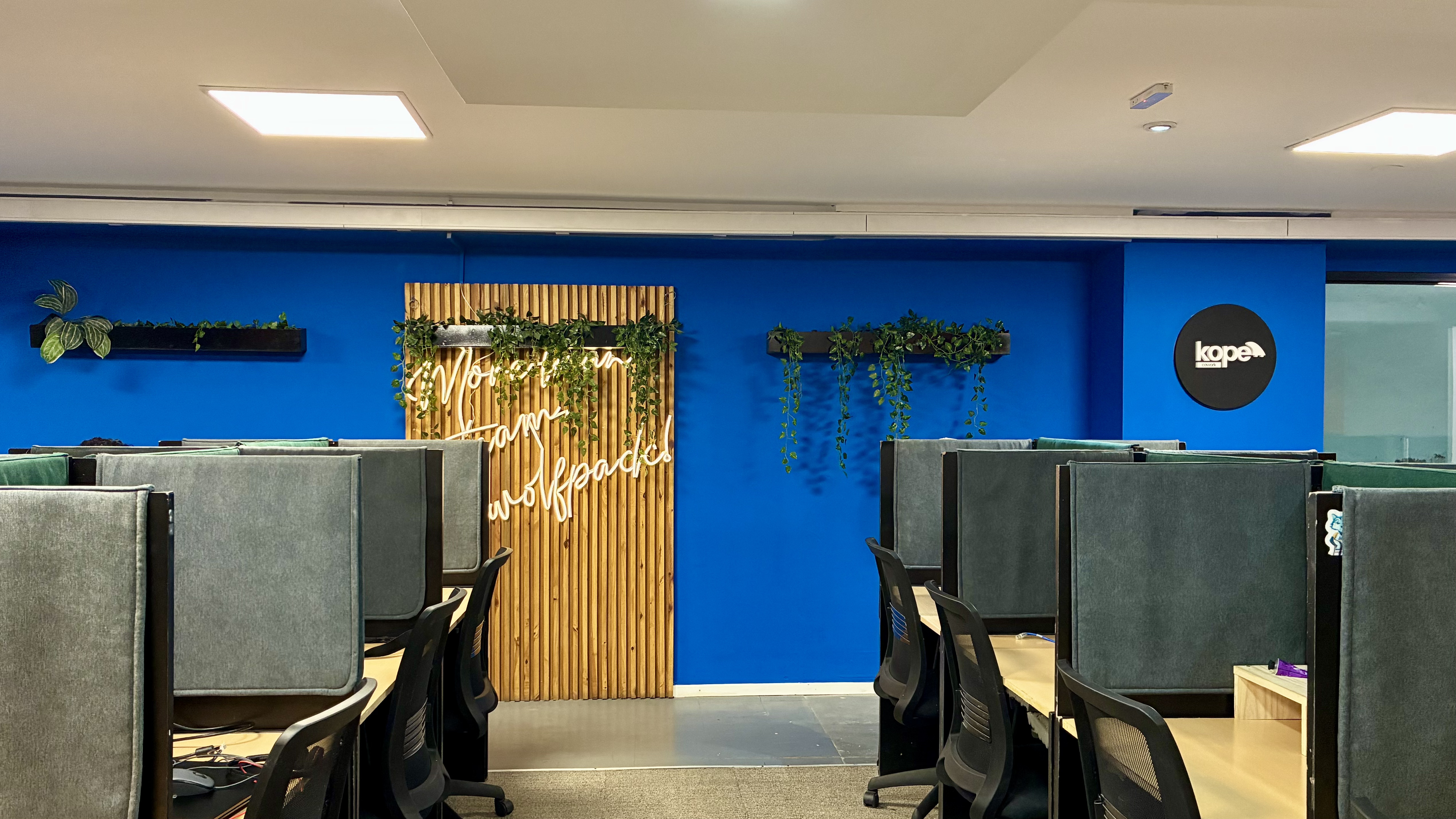 Solvo Global - Imagen 6